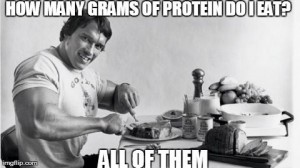 arnie_protein