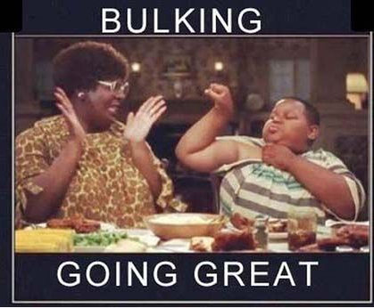 bulking_going_great